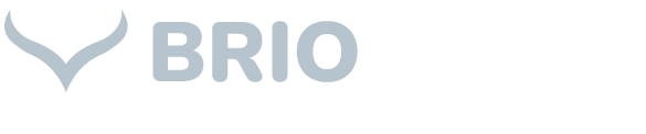 Briowork