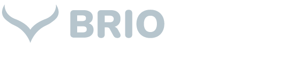 Briowork