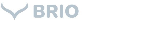 Briowork