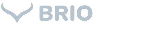 Briowork