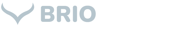 Briowork